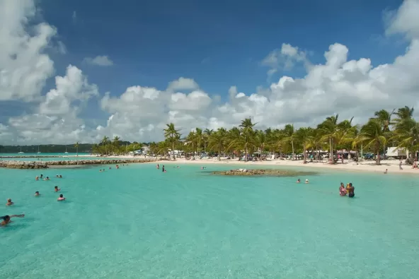 countries-Guadeloupe-salary-benchmarking-companies.webp