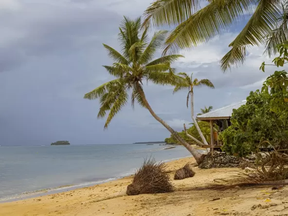 countries,-samoa,-eor.webp