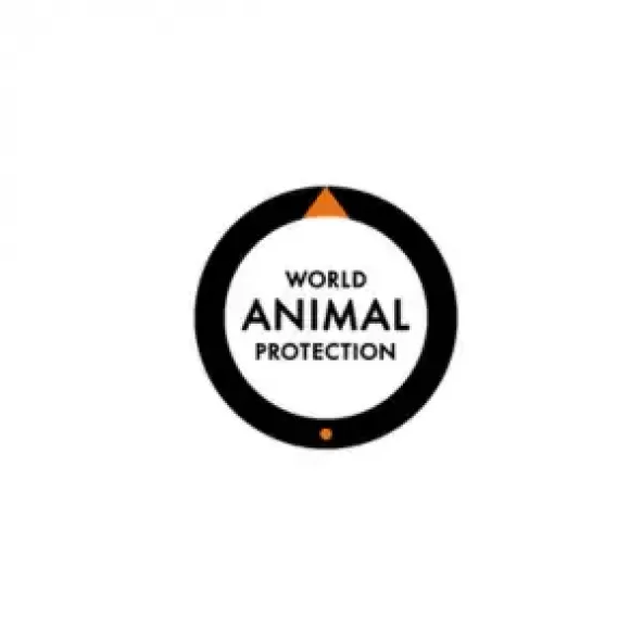 A white circle, with a thick black outline and a north-facing orange arrow, filled with the words 'World Animal Protection'