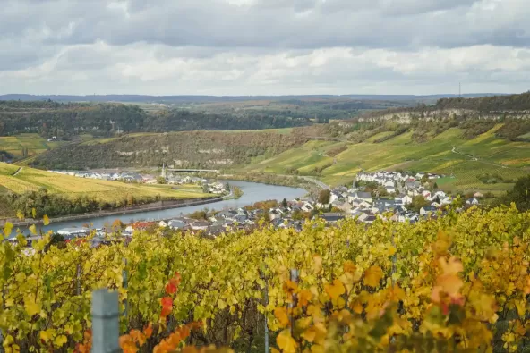 countries,-luxembourg,-payroll-services.webp
