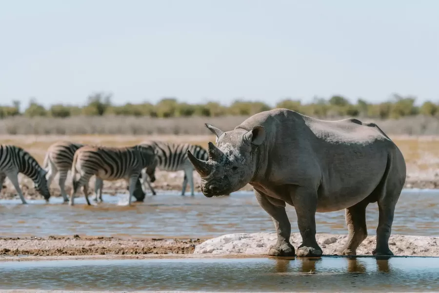 Namibia